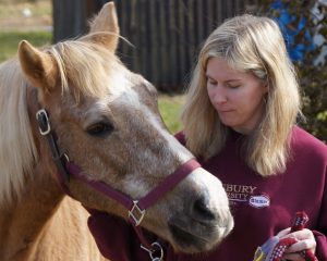 Book Signing at the barn